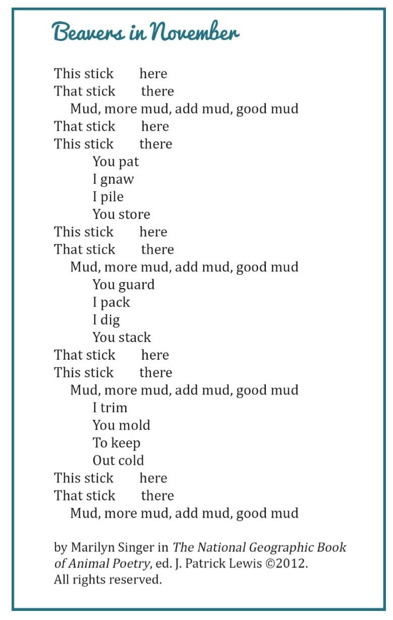 Patterns of rhythm and sound used in poetry